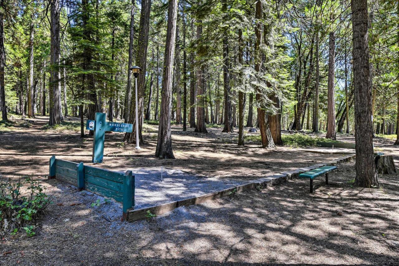 Pollock Pines Resort Cabin 11 Mi To Apple Hill Экстерьер фото